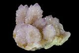 Cactus Quartz (Amethyst) Crystal Cluster - South Africa #137814-1
